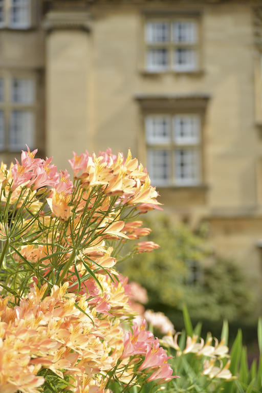 Christ's College 3* Cambridge